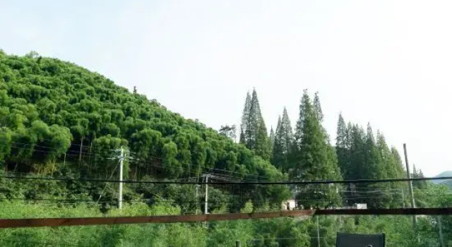 cloud river moganshan villa, Book Villa Sommerhuse i Huzhou, Hytte