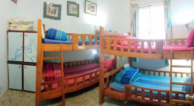 Yurtta yatak La Pace Hostel
