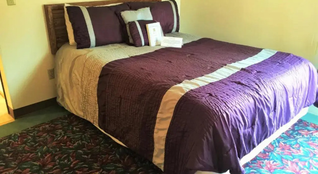 Люкс Cedar Motor Inn