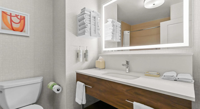 Четырёхместный номер Standard Hampton Inn & Suites El Paso West