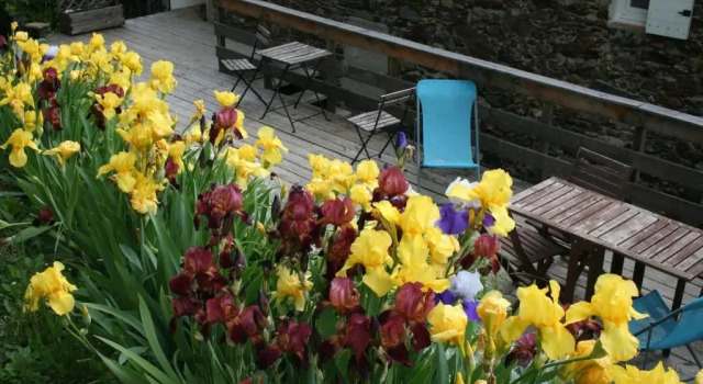 le clos d'Aurore-le Châtaignier, Prenota Hotel Hotel a Cevenne con parcheggio, Parcheggio