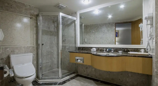 Люкс Executive The Carlton Hotel Hsinchu