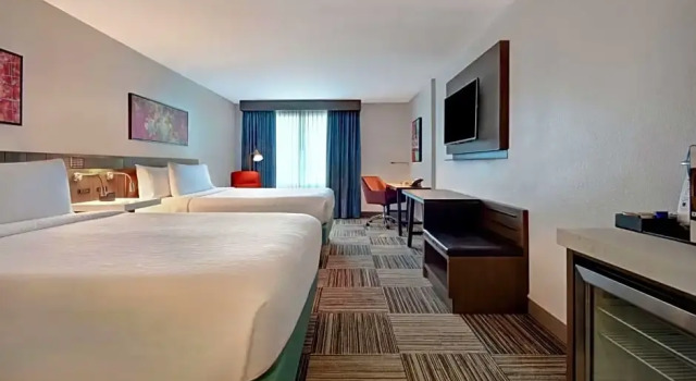 Четырёхместный номер Premium Hilton Garden Inn Houston/Galleria Area