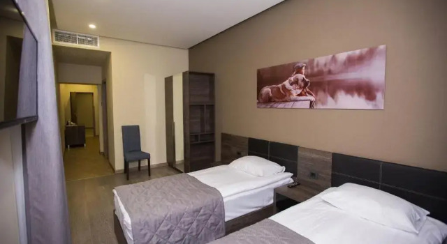 Standard Double room Bien hotel