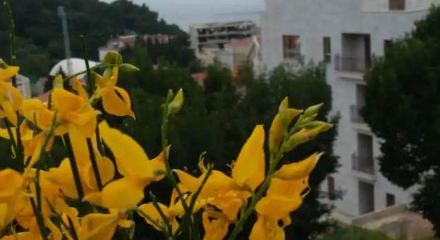 Апартаменты Apartments Jovanovic