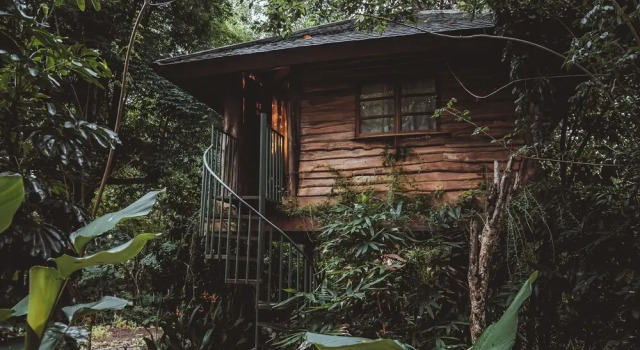 Коттедж Comfort Roots Tree House Boutique Hotel Uluwatu