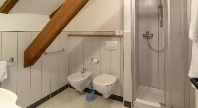 Номер Standard Sporthotel Spoegler