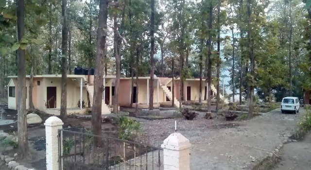 Люкс Corbett Jungle Inn