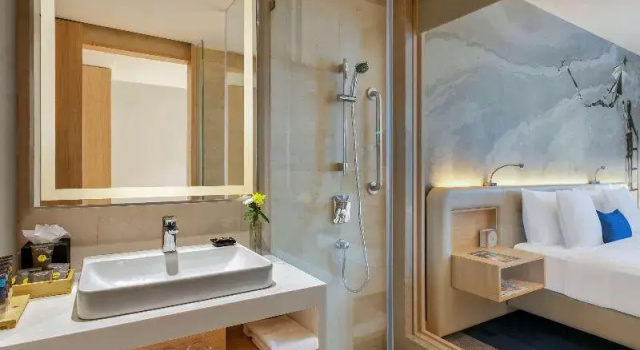 Двухместный номер Standard Novotel Ahmedabad