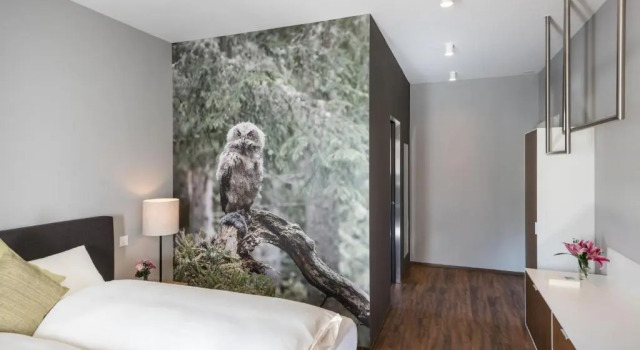 Номер Standard Hotel Mischun