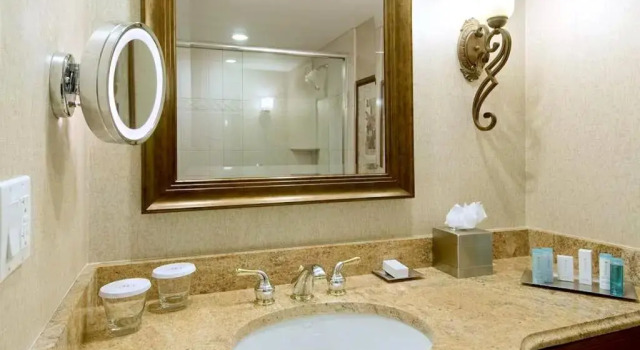 Номер Standard DoubleTree by Hilton Lisle Naperville