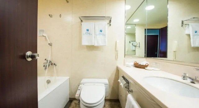 Одноместный номер Deluxe Okura Act City Hotel Hamamatsu