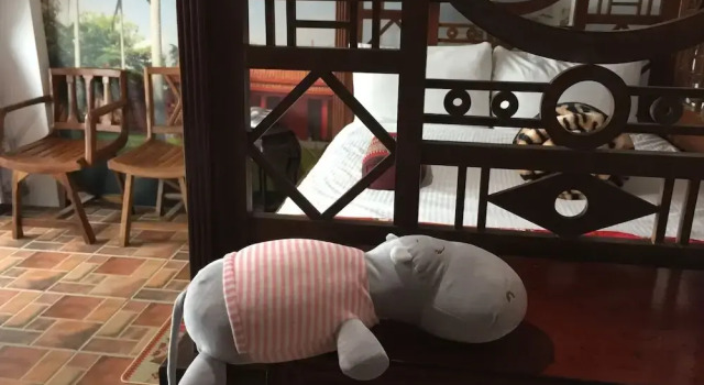 Двухместный номер Standard с балконом Beautiful Yilan Resort