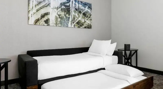 Двухместный люкс c 1 комнатой SpringHill Suites by Marriott San Jose Fremont