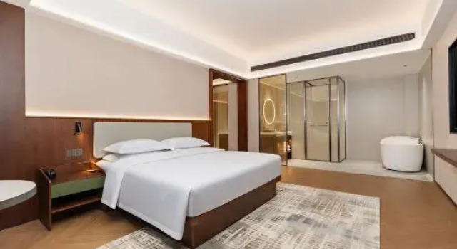 Люкс Executive Linquan Days Hotel by Wyndham (County Government)