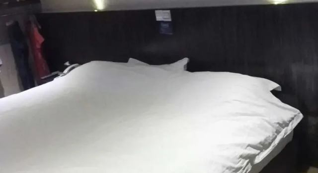The Art Hotel