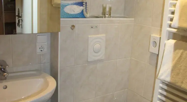 Номер Deluxe Hotel garni Almenrausch und Edelweiss