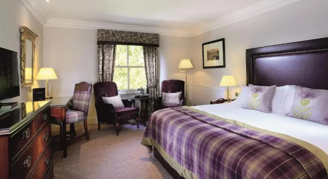 Номер Standard Macdonald Leeming House