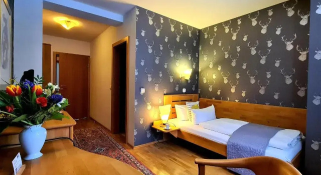 Номер Standard Ferien Residenz Thüringer Wald