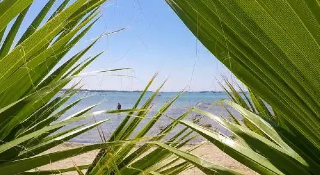 Vacanze per famiglie vicino al mare m515