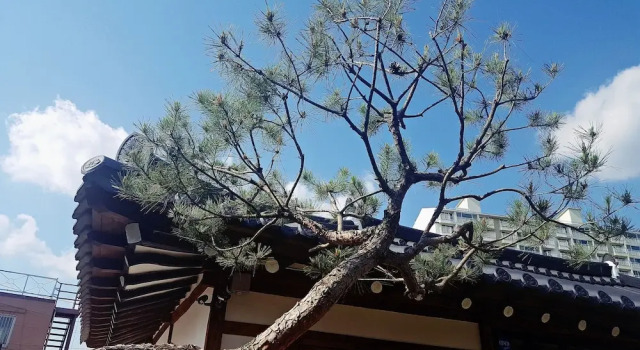 Misori Guesthouse, 预订 宾馆 Munsan 光州