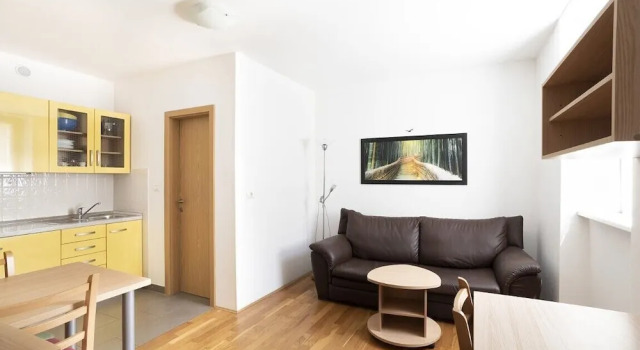 Апартаменты c 1 комнатой Apartments MEDVED in the historic center