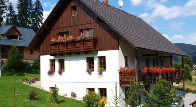 Pension Vlasta
