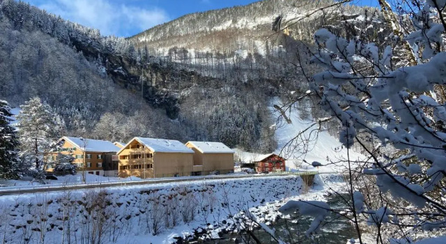 Апартаменты SMART Apartments Mellau