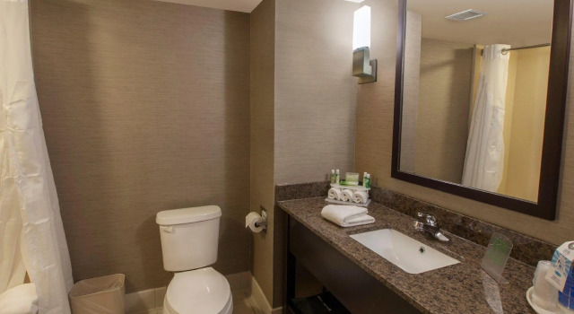 Номер Standard Holiday Inn Express & Suites Buffalo Airport by IHG
