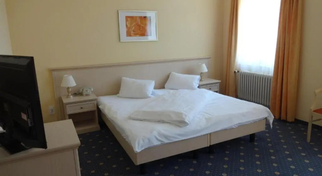 Двухместный номер Standard Hotel Schweizerhof