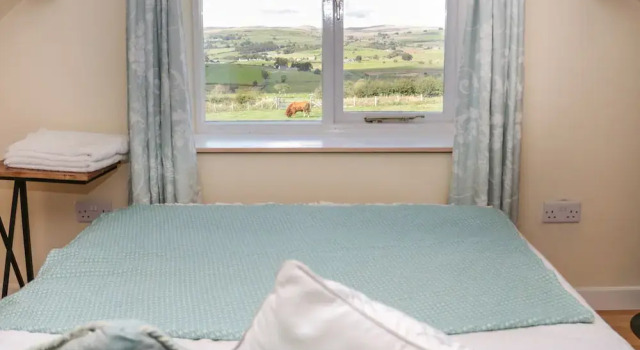 Bryn Dedwydd Cottage, Buchen Sie Ferienhaus Pentre-Foelas Gwynedd