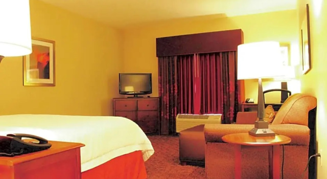 Двухместная студия Hampton Inn & Suites McAllen
