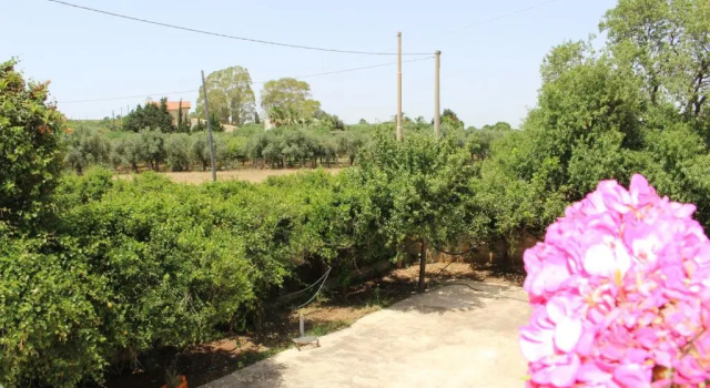 Il Casello Country House Parcheggio gratuito, Reserva ahora Hostal o pensión Sciacca Sicilia