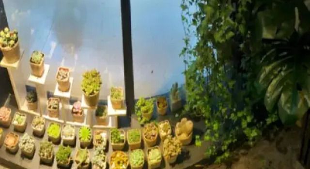 Guichao Theme Hotel, Prenota Hotel Liaogao Guizhou