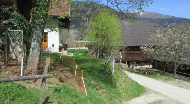 Апартаменты Ferienwohnungen am Berghof