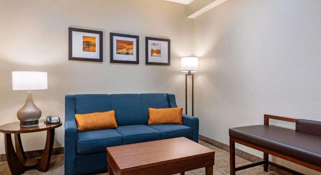 Двухместный люкс Comfort Suites Downtown