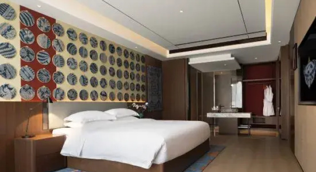 Люкс Guizhou Village Chao Hotel