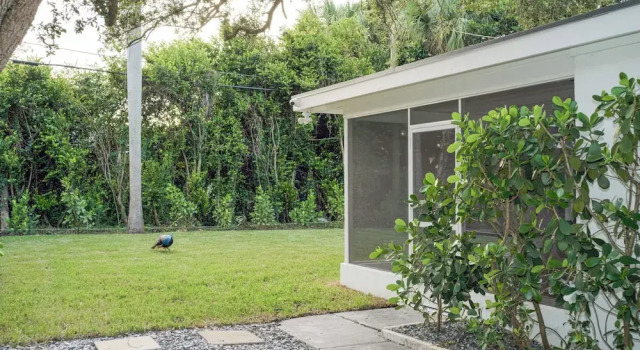 'the Peacock Bungalow' Near Fort Lauderdale Beach!, Забронировать Дом для отпуска Отели Форт-Лодердейл с парковкой, Парковка