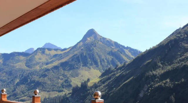 Люкс Damülser Hof - Wellness & Spa Superior