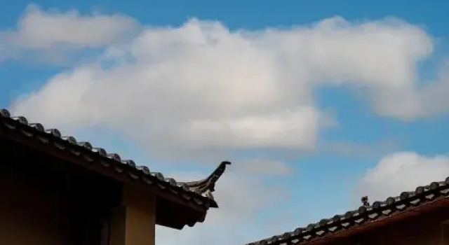 Xueyu Qieman Homestay (Baisha Ancient Town Branch), Prenota Hotel Baisha Yunnan
