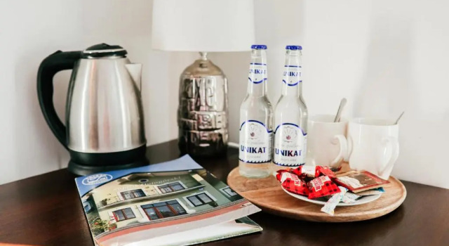 Номер Standard Hotel Zlotogorski