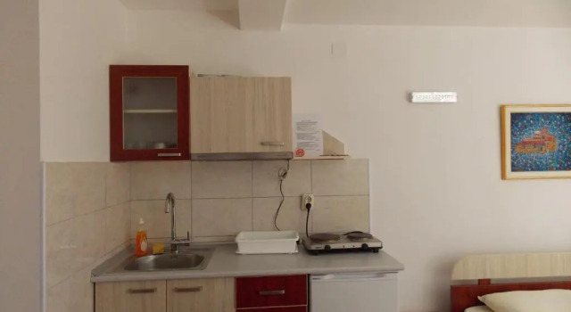 Студия с балконом и с видом на озеро Apartments Smakoski