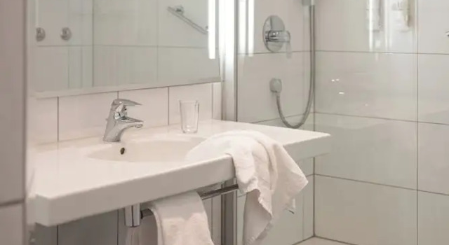 Одноместный номер Superior Rheinhotel Dreesen