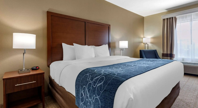 Двухместный номер Standard Comfort Inn & Suites Paris