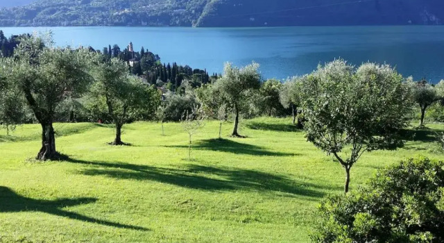 Casa Melina 1, Book Feriehus Villaer i Tremezzo, Villa