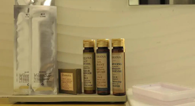 Двухместный номер Superior Campanile Shanghai Natural History Museum Hotel