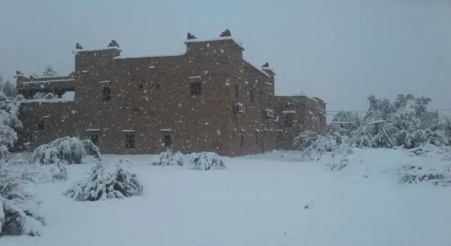 Одноместный номер Standard Kasbah Dar Dmana