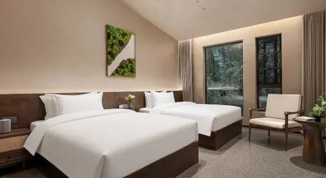 Люкс Qionglai Tiantai Mountain Taiyuan Hotel