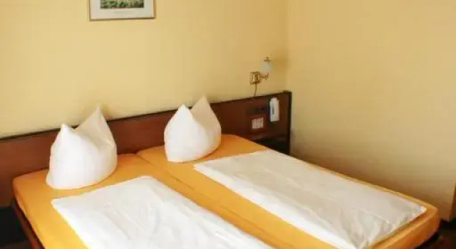 Двухместный номер Standard Hotel Rebstock