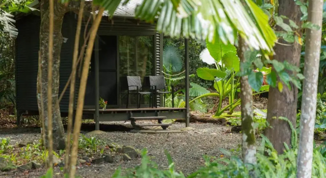 Номер Standard Safari Lodge